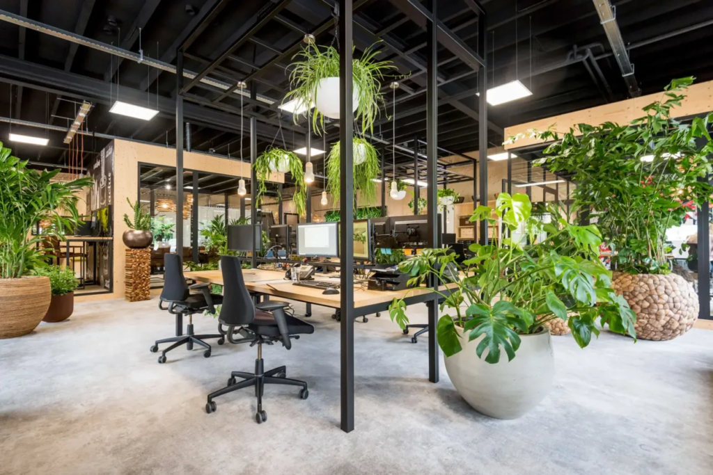 Binnenkant pand Ten Brinke