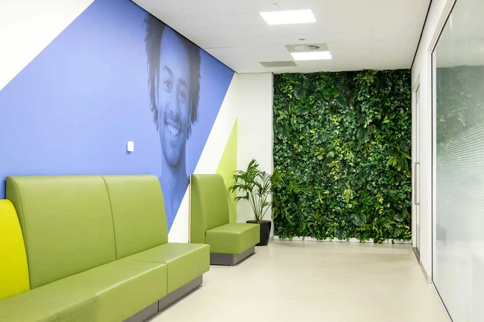 Groene plantenwand in school