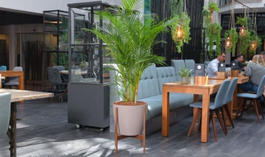 Plantenbak frame hout