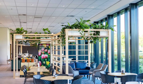 Plantenbakken boven zitplaatsen in bedrijfsrestaurant