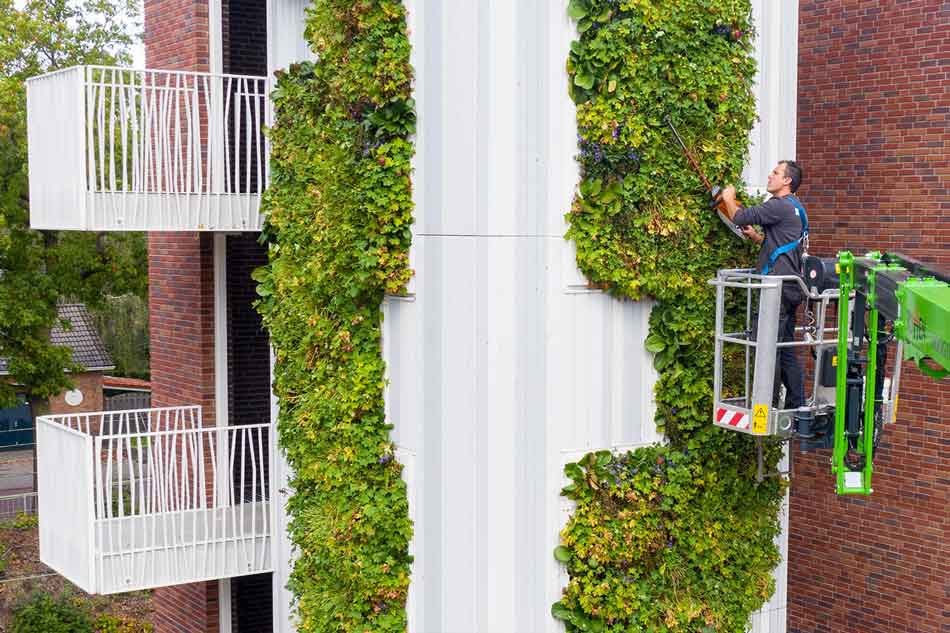 Zakelijk onderhoud van een groene gevel