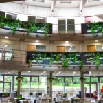 Aula vol groene planten op hoogte