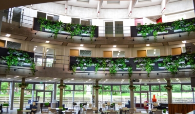 Aula vol groene planten op hoogte