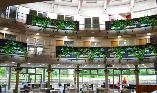 Aula vol groene planten op hoogte