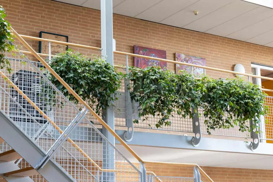 Groene-planten-aan-balustrade-verzorgingstehuis.webp