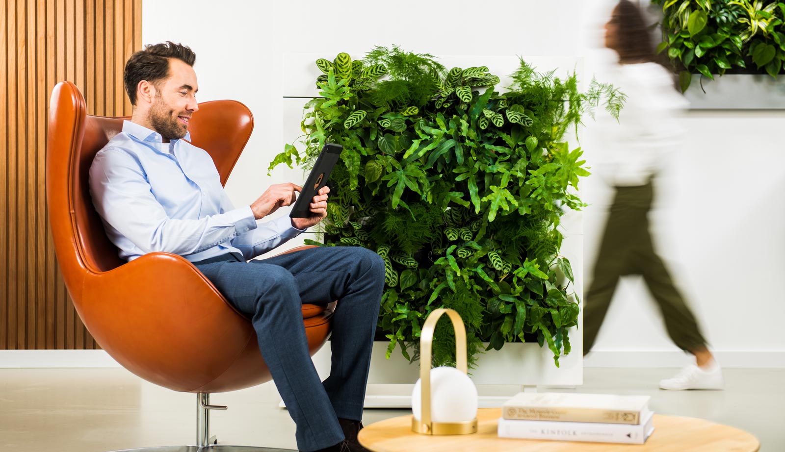 Roomdivider planten 