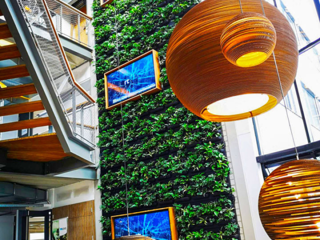 Plantenwand bij ProLease