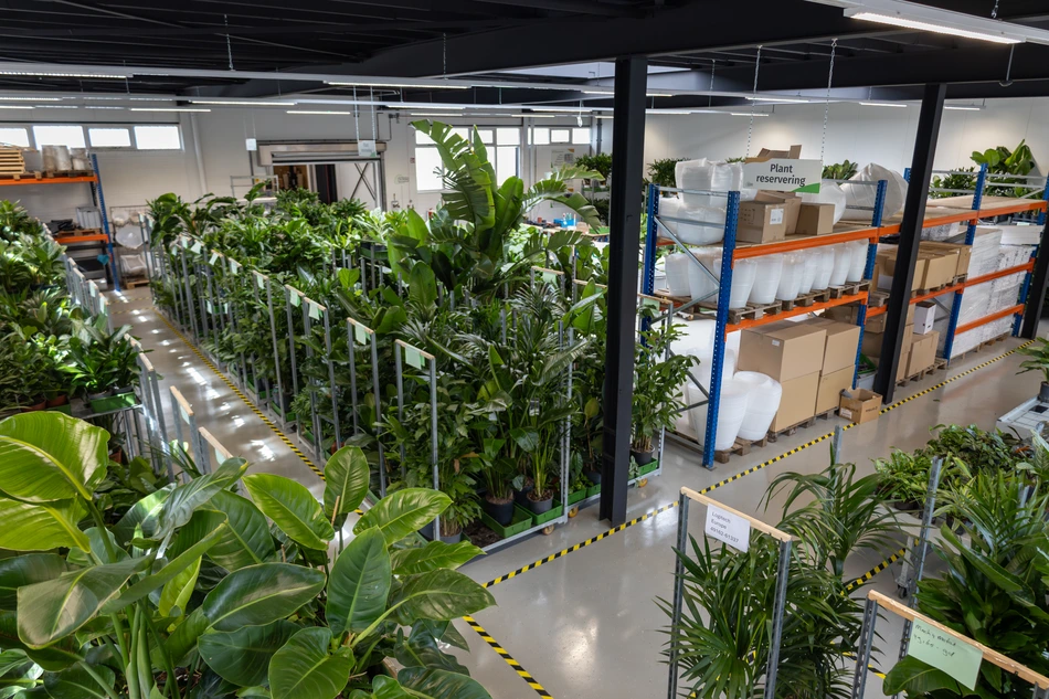 Hal 3 - Ten Brinke Interieurbeplanting, Hengelder 30 Zevenaar