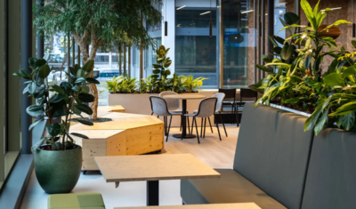 Interieurbeplanting kantoor Witteveen+Bos Deventer