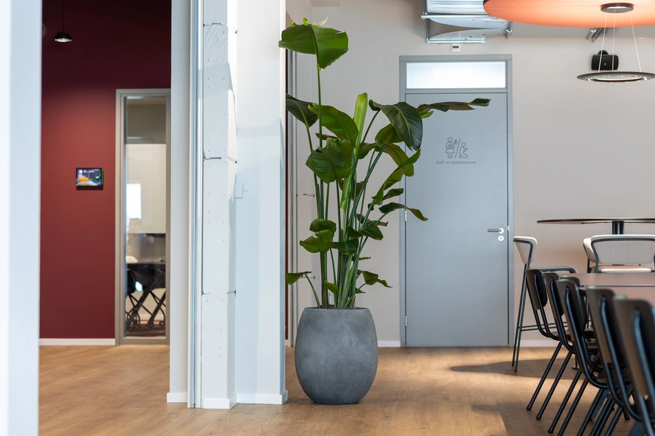 Hollander-Techniek-Apeldoorn-web-2.webp