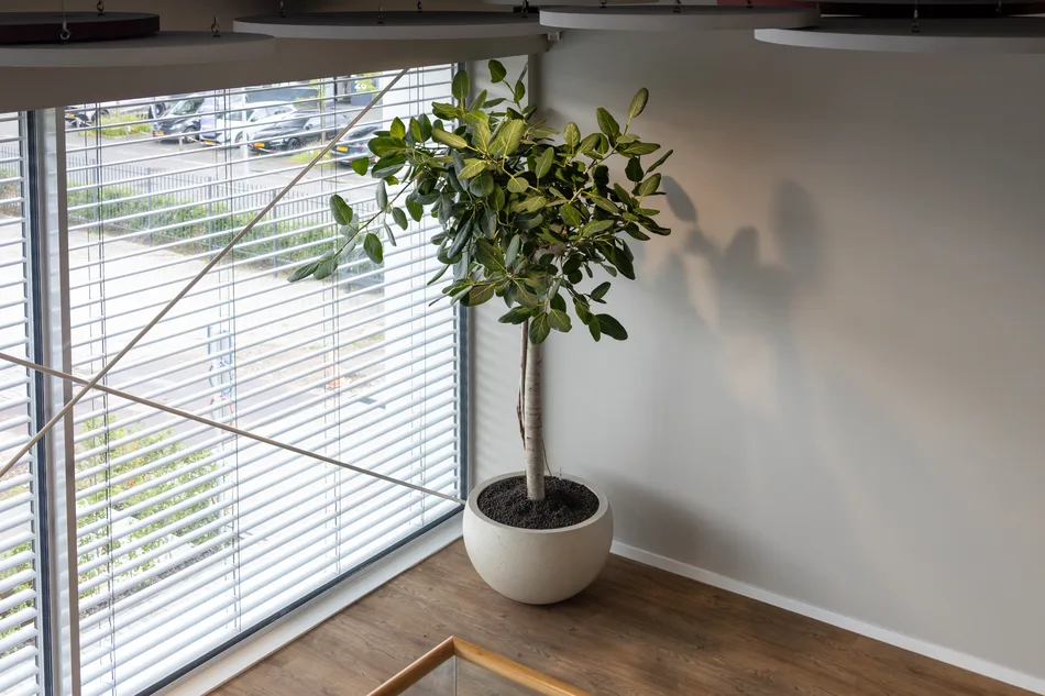 Hollander-Techniek-Apeldoorn-web-20-EN.webp