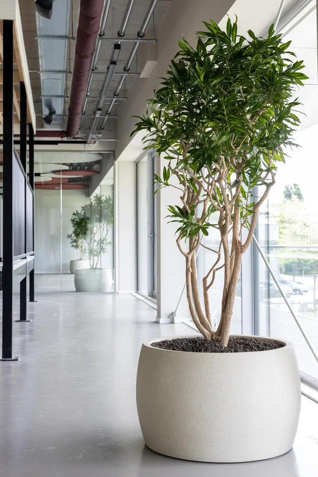 Hollander-Techniek-Apeldoorn-web-3.webp