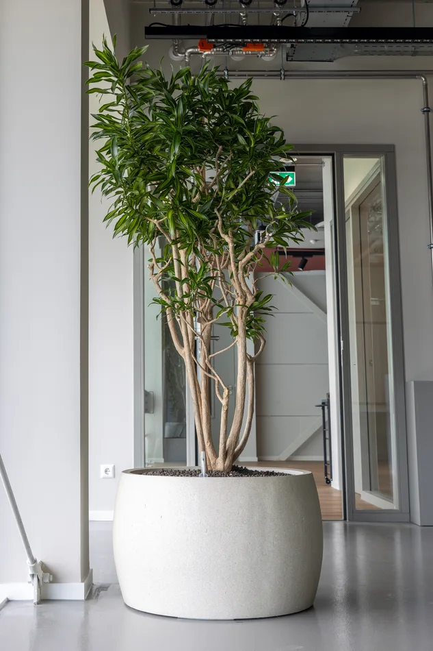 Hollander-Techniek-Apeldoorn-web-5.webp