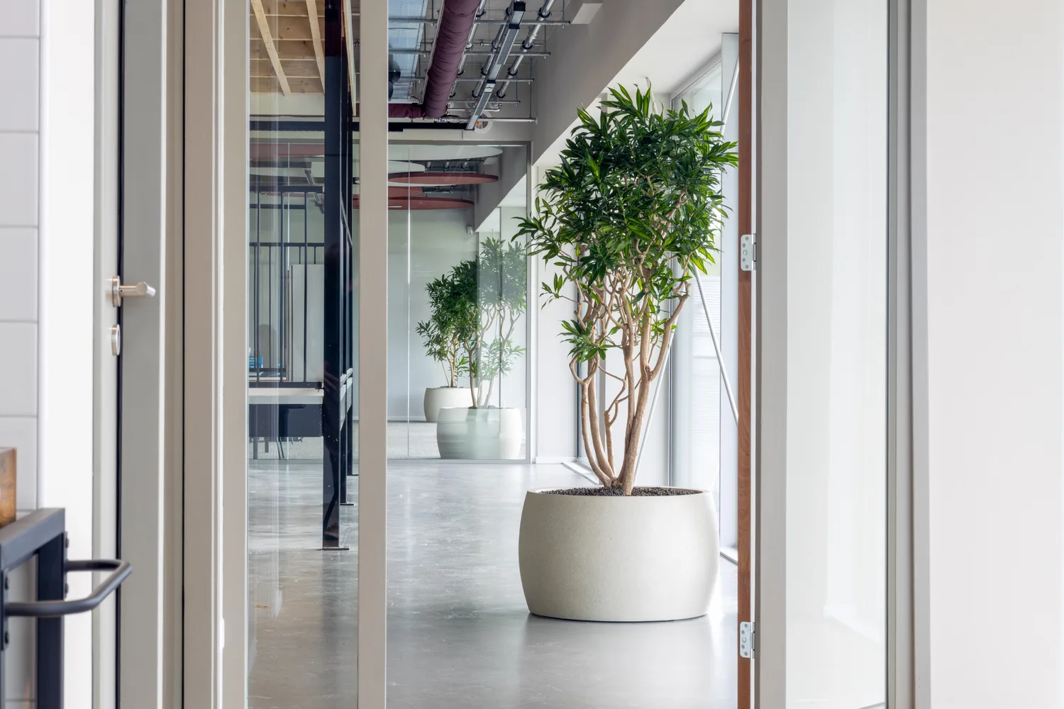 Hollander Techniek Apeldoorn | Groen als warme finishing touch in een industrieel pand