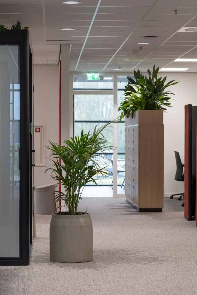 Intersnack-Interieurbeplanting-11.webp