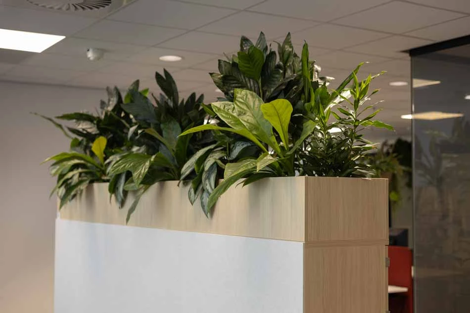 Intersnack-Interieurbeplanting-4.webp