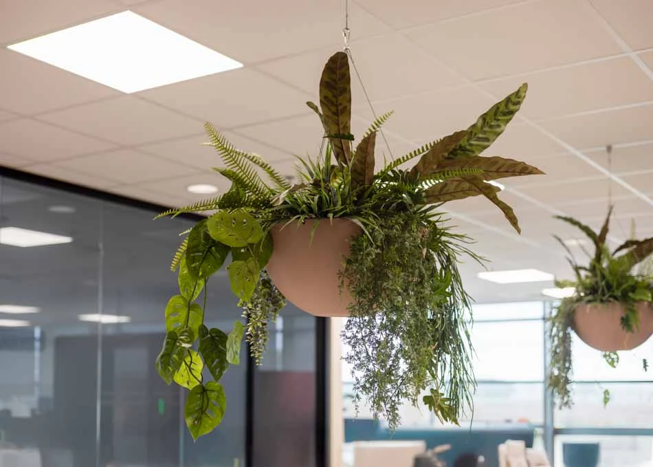 Intersnack-Interieurbeplanting-6.webp