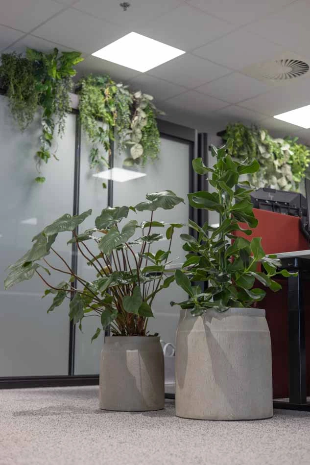 Intersnack-Interieurbeplanting-8.webp