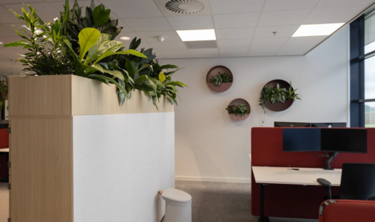 Office Greenery at Every Level