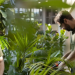 Jelle onderhoudsmedewerker bij Ten Brinke Interieurbeplanting