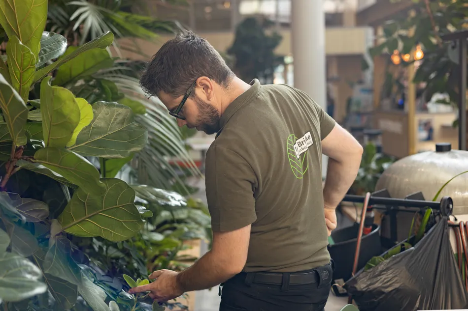 Jelle in actie als onderhoudswedewerker