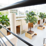 Verschillende grote bomen binnen in groot gebouw