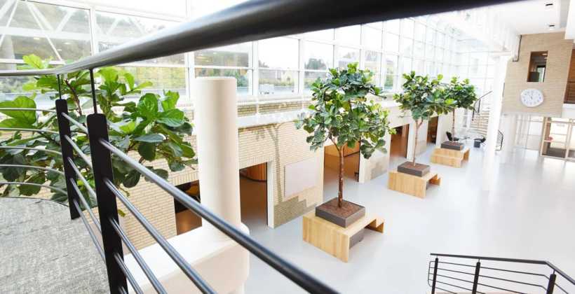 Verschillende grote bomen binnen in groot gebouw