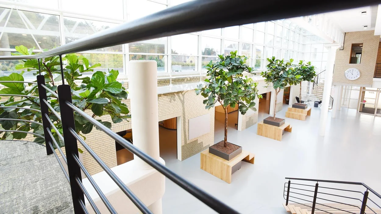 Verschillende grote bomen binnen in groot gebouw