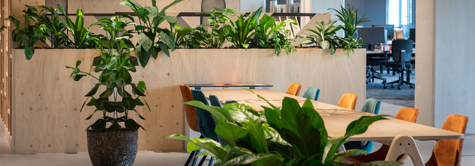 Kantoorbeplanting leasen