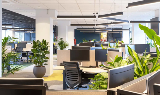 Kantoortuin met planten call center