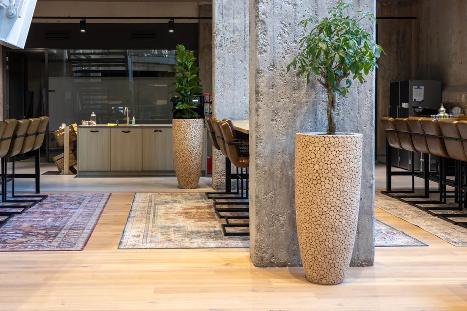 Kracht-Recruitment-Interieurbeplanting-web-4.webp