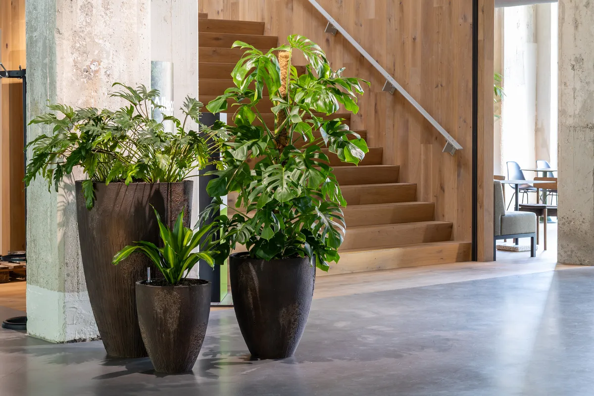 Where concrete and greenery come together at Kracht Recruitment