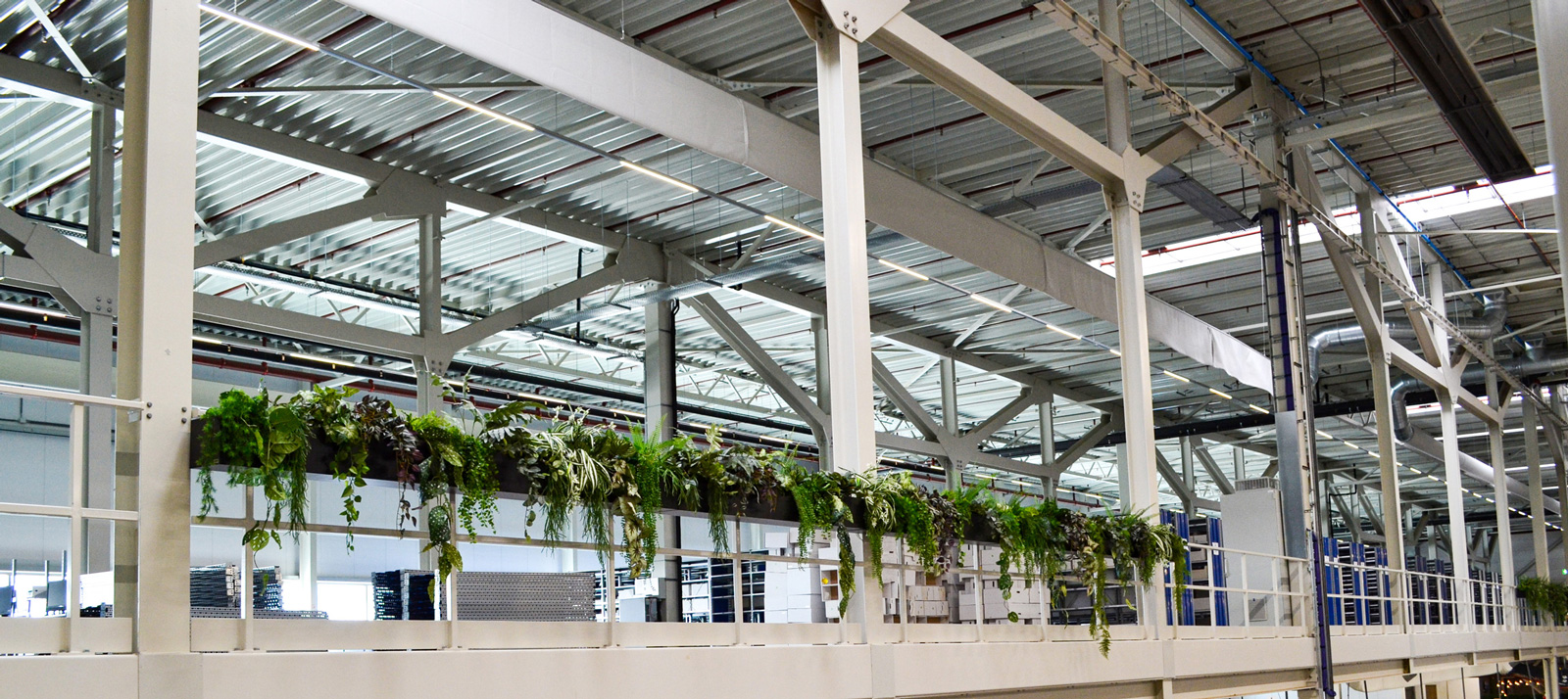 Ongebruikelijk groen in een warehouse