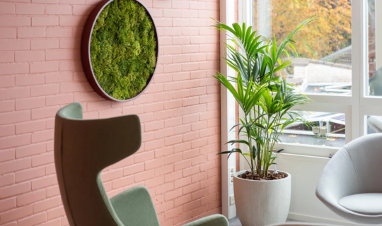 Elegante kantoorruimte met een moscirkel aan een roze bakstenen muur en een grote kentia palm in een beige plantenbak bij het raam