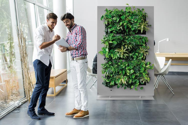 Functionele wanddecoratie