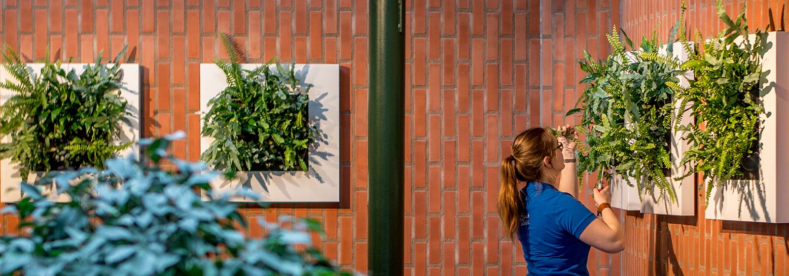 Natuurlijk groen in een modern jasje
