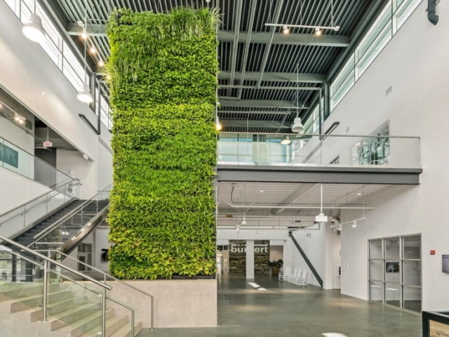 Enorme plantenwand in gebouw