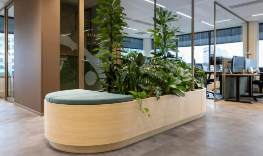 Zitmeubel geïntegreerd met urban jungle stijl beplanting op kantoor