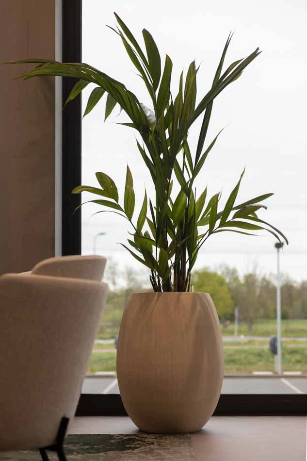 Mombarg-Beton-Beplanting.webp