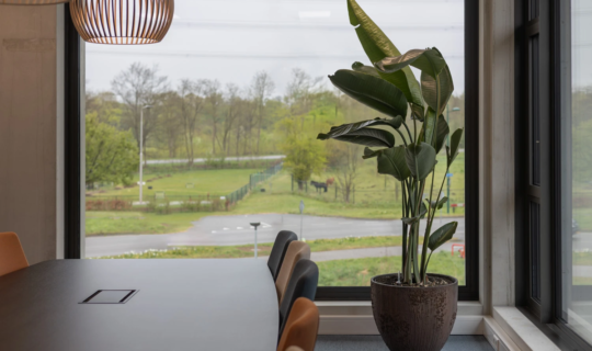 Groen op kantoor bij Mombarg Beton in Ulft