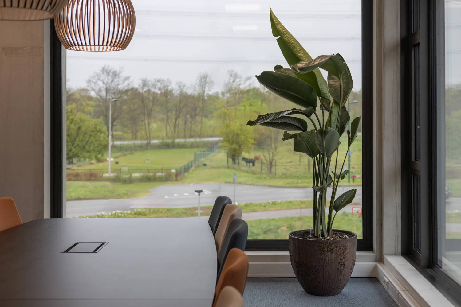 Sfeer in beton gegoten: doordachte beplanting in een stijlvol interieur
