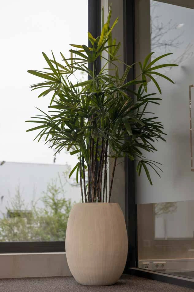 Mombarg-Beton-Kantoorplant.webp