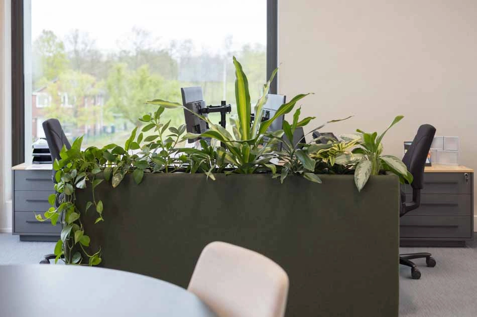 Mombarg-Beton-Kastplanten-urban-jungle.webp