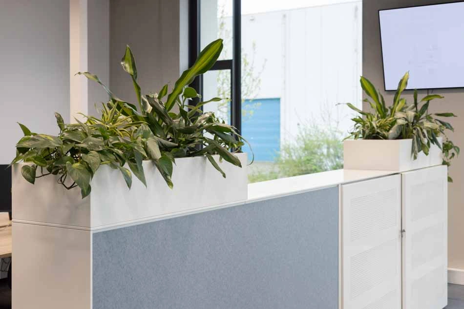 Mombarg-Beton-cabinet-planters.webp