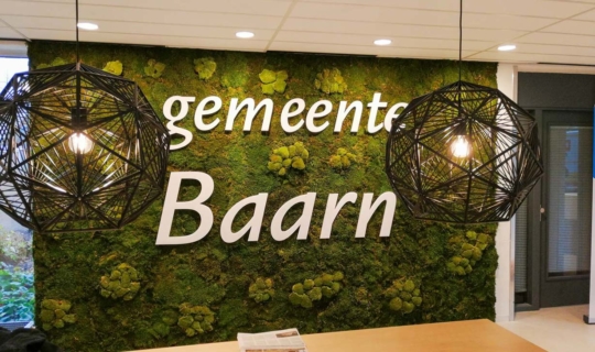 Voordelen moswand