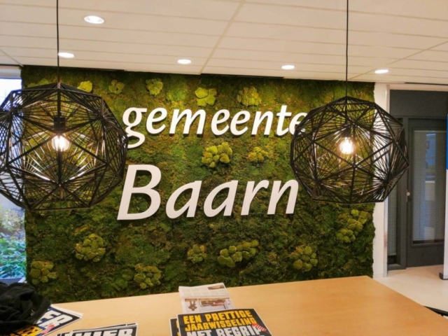 Mix van twee mossen bij gemeente Baarn