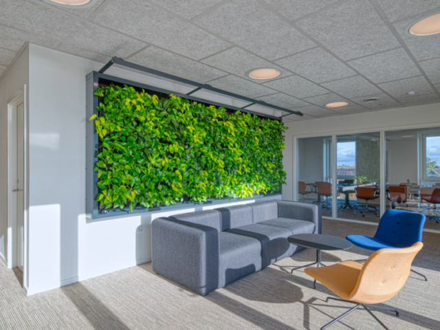 Plantenwand op maat in een ontvangstruimte van Natural Greenwalls