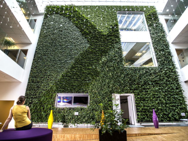 Extreem grote binnen plantenwand van Natural Greenwalls