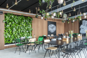 Plantenwand actie Natural Greenwalls®
