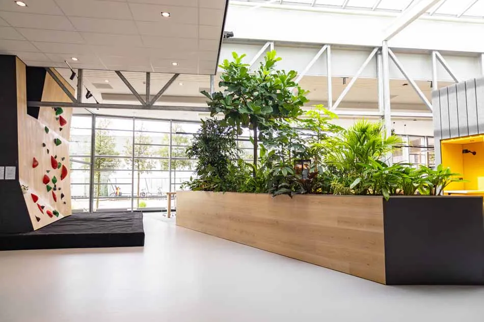 Nedap-groenlo-interieurbeplanting-10.webp